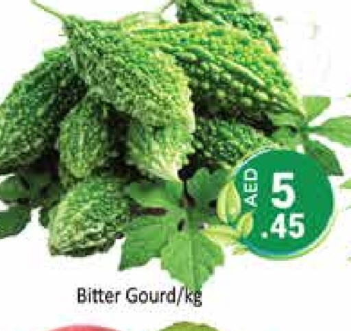 Bitter Gourd available at PASONS GROUP in UAE - Dubai