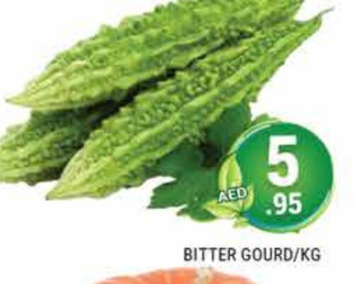 Bitter Gourd available at PASONS GROUP in UAE - Dubai