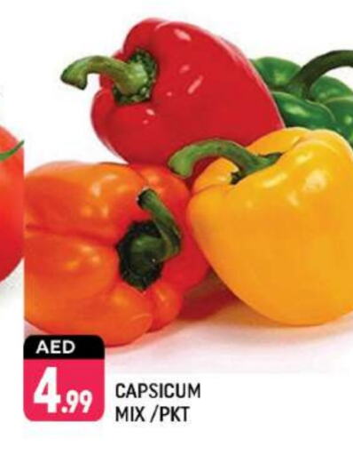 Chilli / Capsicum available at Shaklan  in UAE - Dubai