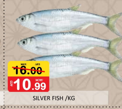 available at ROYAL GULF HYPERMARKET LLC in UAE - Abu Dhabi