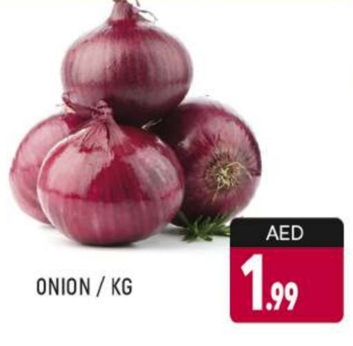 Onion available at AL MADINA (Dubai) in UAE - Dubai