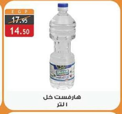 خل available at الرايه  ماركت in Egypt - القاهرة