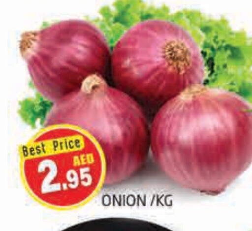 Onion available at PASONS GROUP in UAE - Dubai