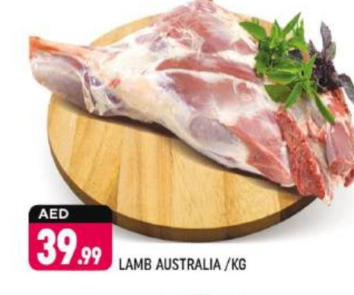 Mutton / Lamb available at Shaklan  in UAE - Dubai