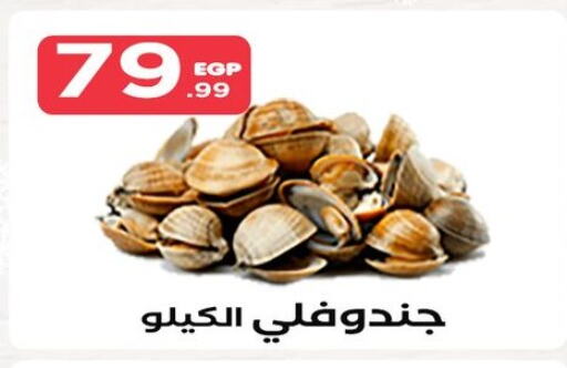 available at المحلاوي ستورز in Egypt - القاهرة