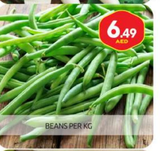 Beans available at BIGmart in UAE - Dubai