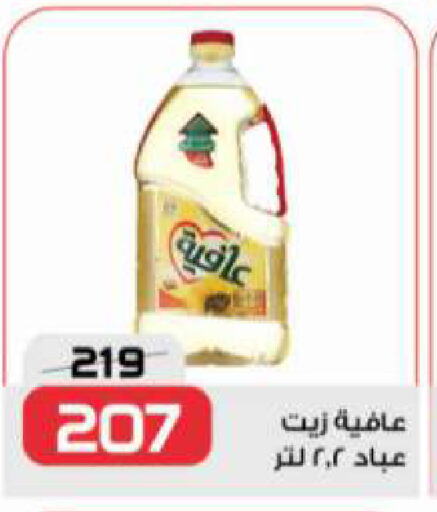 إندومي available at زهران ماركت in Egypt - القاهرة