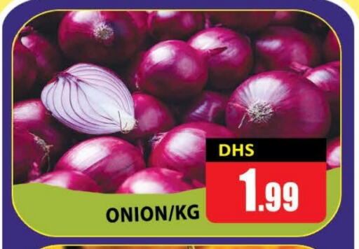 Onion available at AL MADINA (Dubai) in UAE - Dubai