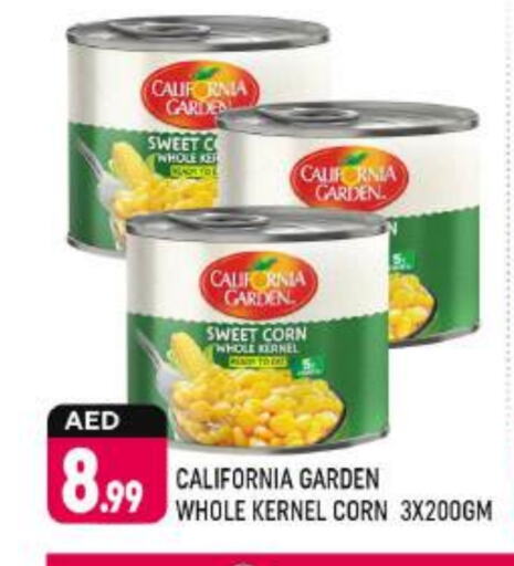 CALIFORNIA GARDEN available at Shaklan  in UAE - Dubai