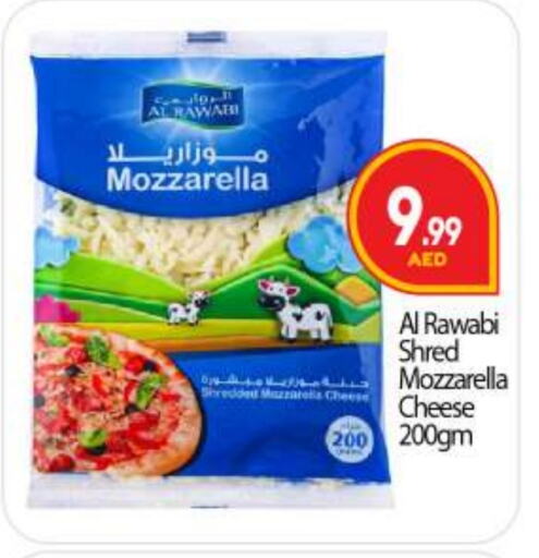 Mozzarella available at BIGmart in UAE - Dubai