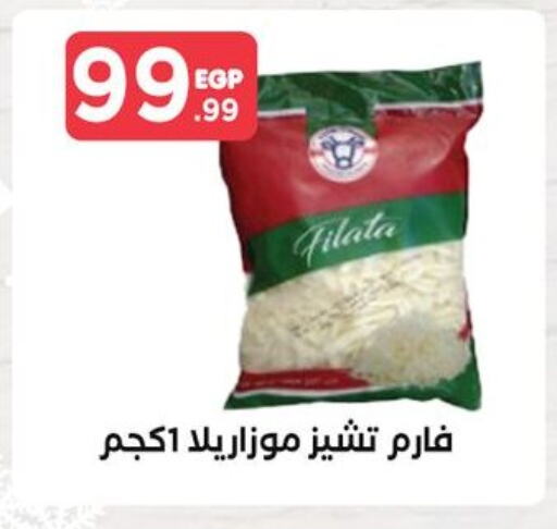 موزاريلا available at مارت فيل in Egypt - القاهرة