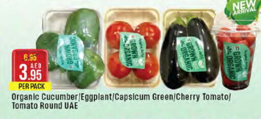 Chilli / Capsicum available at West Zone Supermarket in UAE - Abu Dhabi