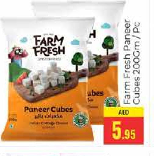 Paneer available at PASONS GROUP in UAE - Dubai