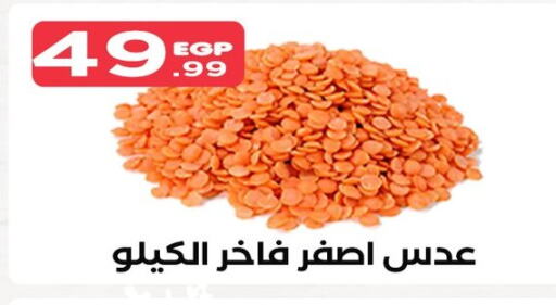 available at المحلاوي ستورز in Egypt - القاهرة