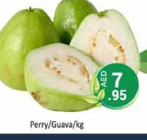 Guava available at PASONS GROUP in UAE - Dubai