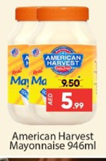 AMERICAN HARVEST Mayonnaise available at Al Madina  in UAE - Dubai