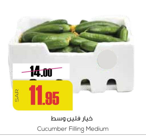 Cucumber available at Sapt in KSA, Saudi Arabia, Saudi - Buraidah