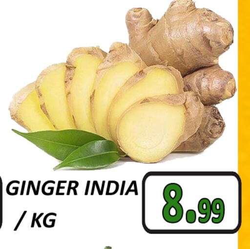 Ginger from India available at GRAND MAJESTIC HYPERMARKET in UAE - Abu Dhabi