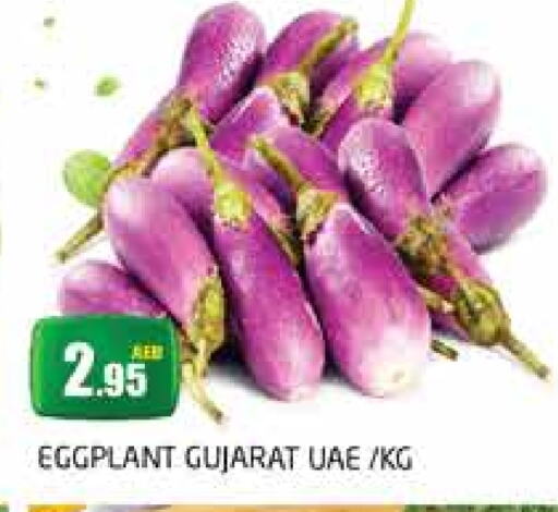 Eggplant available at PASONS GROUP in UAE - Dubai