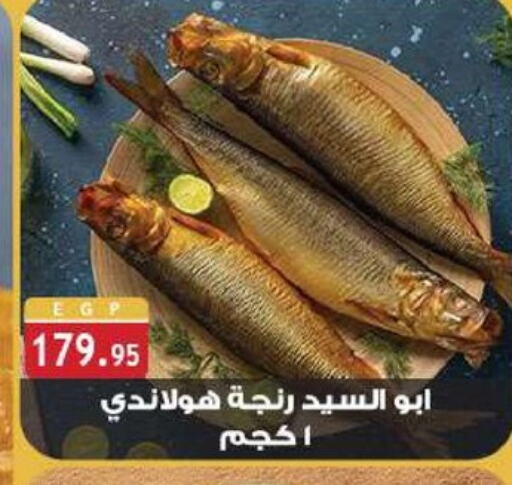 available at الرايه  ماركت in Egypt - القاهرة