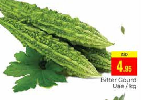 Bitter Gourd available at PASONS GROUP in UAE - Dubai