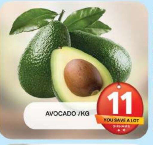 Avacado available at Grand Hyper Market in UAE - Dubai