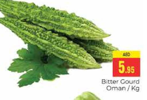 Bitter Gourd from Oman available at PASONS GROUP in UAE - Dubai