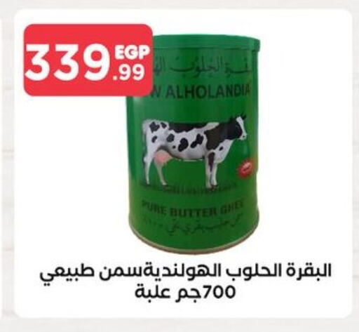 available at المحلاوي ستورز in Egypt - القاهرة