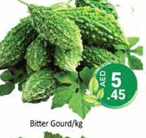 Bitter Gourd available at PASONS GROUP in UAE - Dubai