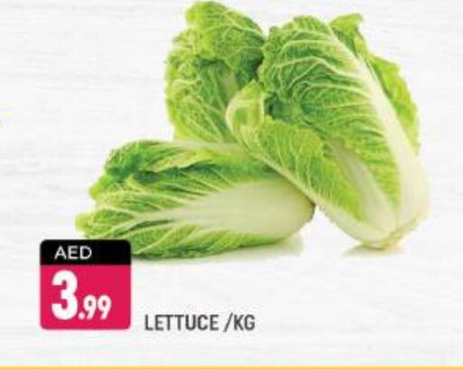 Lettuce available at شكلان ماركت in الإمارات العربية المتحدة , الامارات - دبي