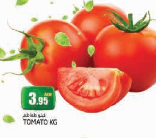 Tomato available at PASONS GROUP in UAE - Dubai