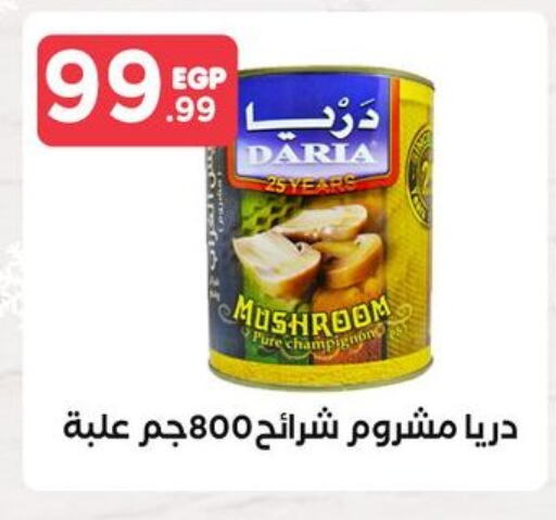 Mushroom available at المحلاوي ستورز in Egypt - القاهرة