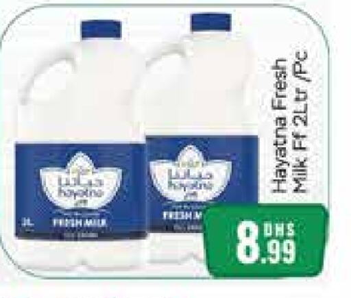 HAYATNA Fresh Milk available at Al Madina  in UAE - Dubai