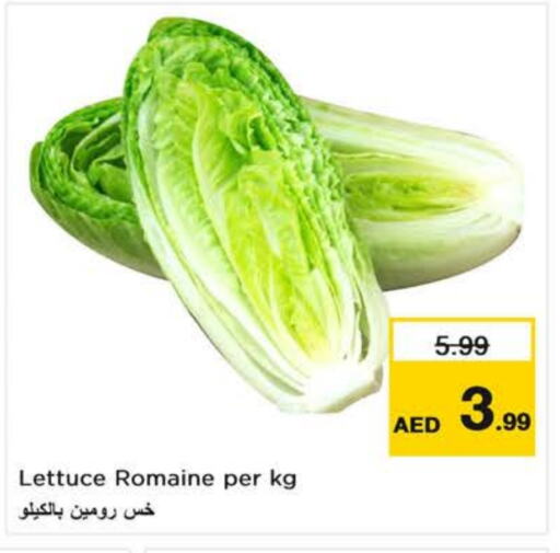 Lettuce available at لاست تشانس in الإمارات العربية المتحدة , الامارات - الشارقة / عجمان