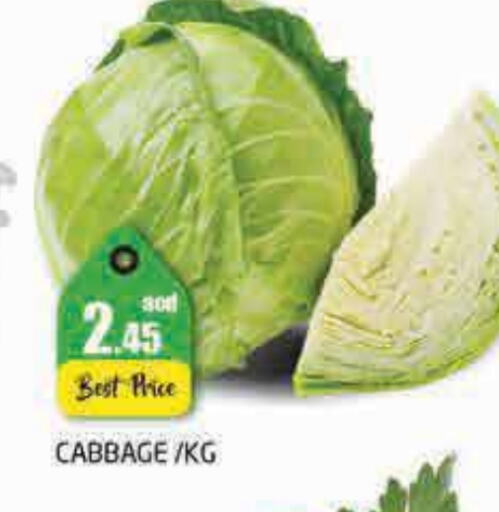 Cabbage available at PASONS GROUP in UAE - Dubai