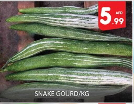 Gourd available at Al Madina  in UAE - Dubai