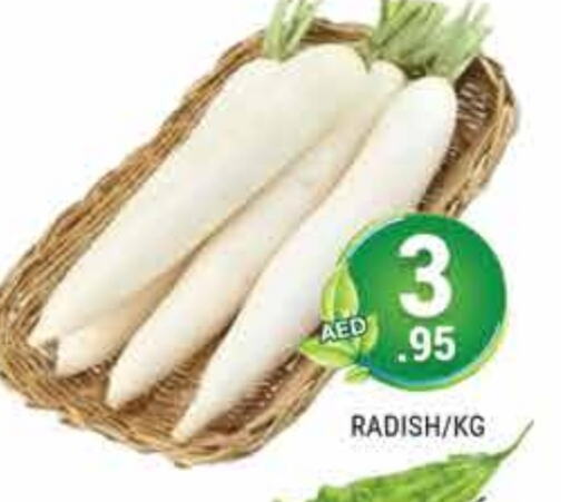 Radish available at PASONS GROUP in UAE - Dubai