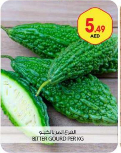 قرع available at بيج مارت in الإمارات العربية المتحدة , الامارات - أبو ظبي