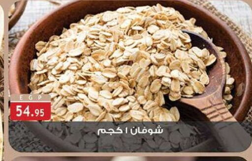 الشوفان available at الرايه  ماركت in Egypt - القاهرة