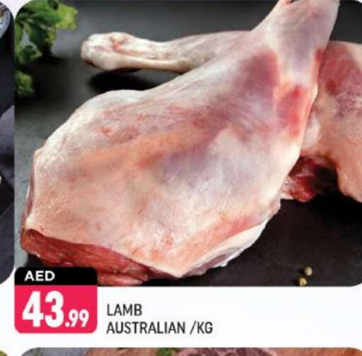 Mutton / Lamb available at Shaklan  in UAE - Dubai