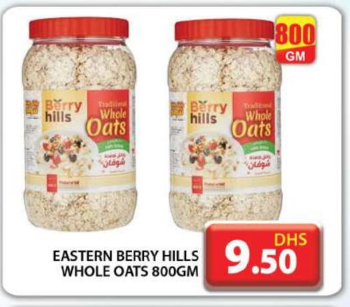 BERRY HILLS Oats available at Grand Hyper Market in UAE - Dubai