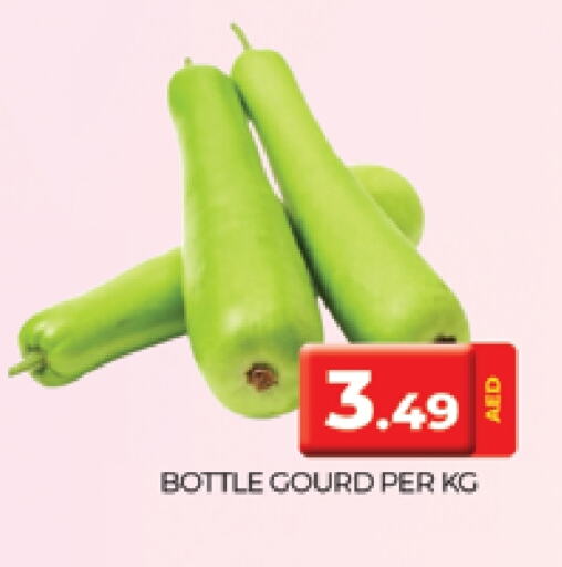 Gourd available at AL MADINA (Dubai) in UAE - Dubai