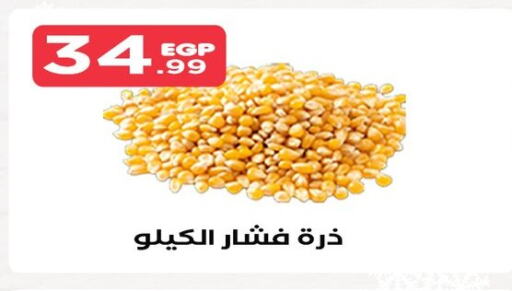 available at المحلاوي ستورز in Egypt - القاهرة