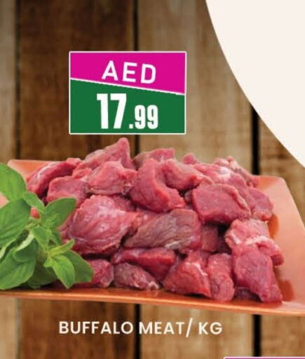 Buffalo available at AL MADINA (Dubai) in UAE - Dubai