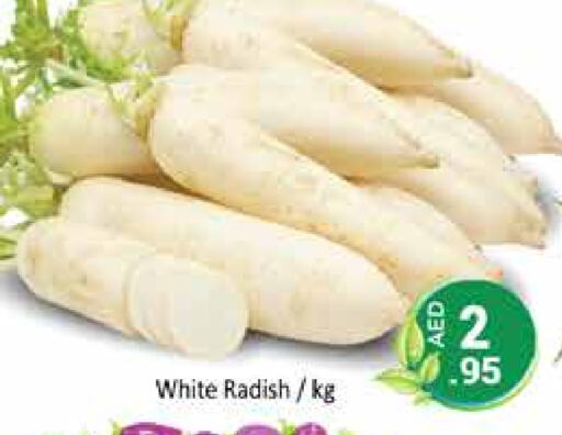 Radish available at PASONS GROUP in UAE - Dubai