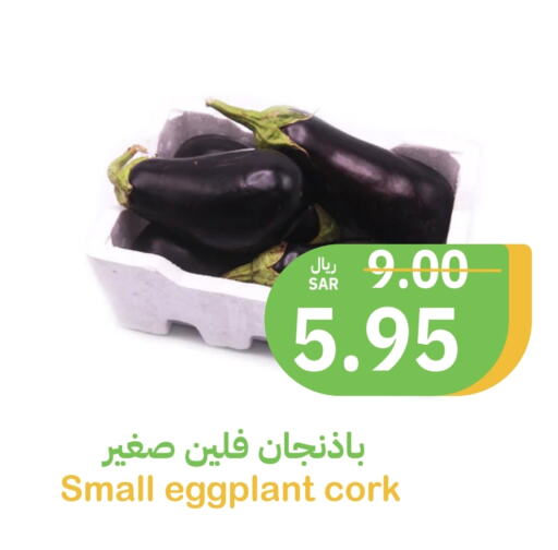 Eggplant available at Qateba Markets in KSA, Saudi Arabia, Saudi - Buraidah