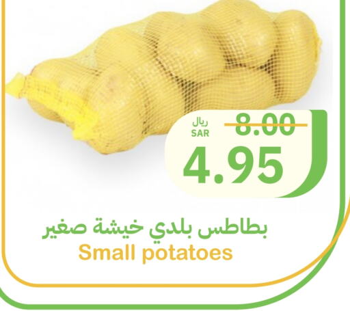 Potato available at Qateba Markets in KSA, Saudi Arabia, Saudi - Buraidah