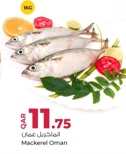 available at روابي هايبرماركت in قطر - الوكرة