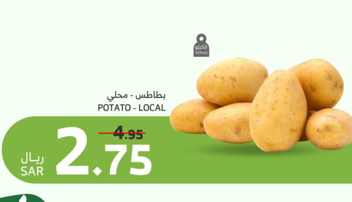 Potato available at الراية in مملكة العربية السعودية, السعودية, سعودية - المدينة المنورة