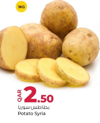 بطاطا from Syria available at روابي هايبرماركت in قطر - الشحانية